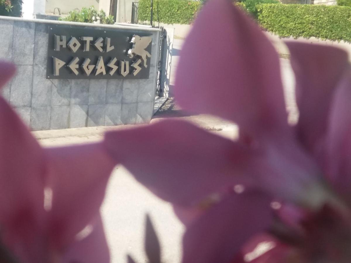 חניוטי Pegasus Hotel מראה חיצוני תמונה